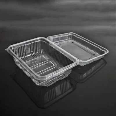 Kotak Buah Kerang Berlubang