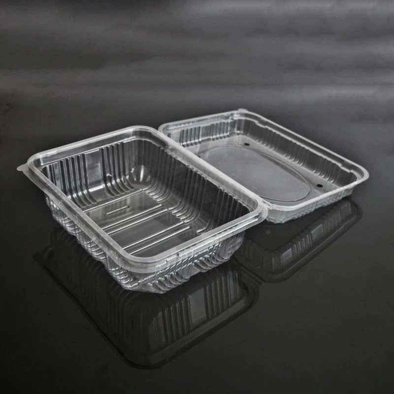 Kotak Buah Kerang Berlubang