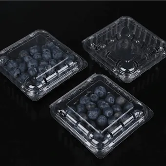Pembungkusan Blueberry Clamshell Pembungkusan Buah Buahan Potong Segar Pembungkusan Buah Blueberry Clamshell Pembungkusan Bekas Buah-buahan
